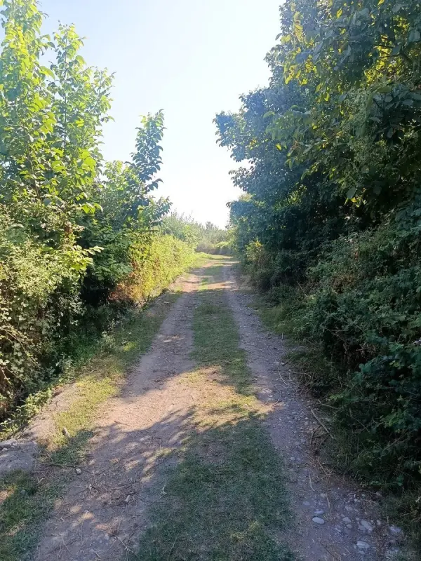 Satılır torpaq sahəsi 181 m²