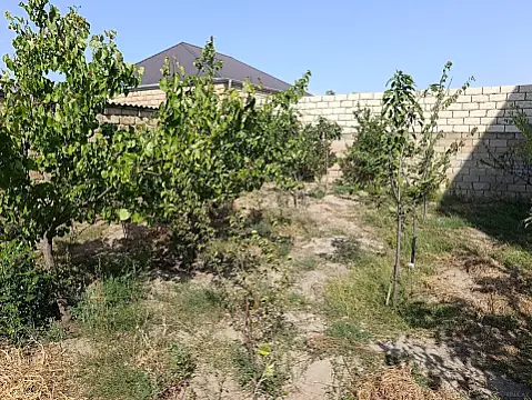 Satılır torpaq sahəsi 3.5 m² — Bakı, Novxanı 3.50 m²