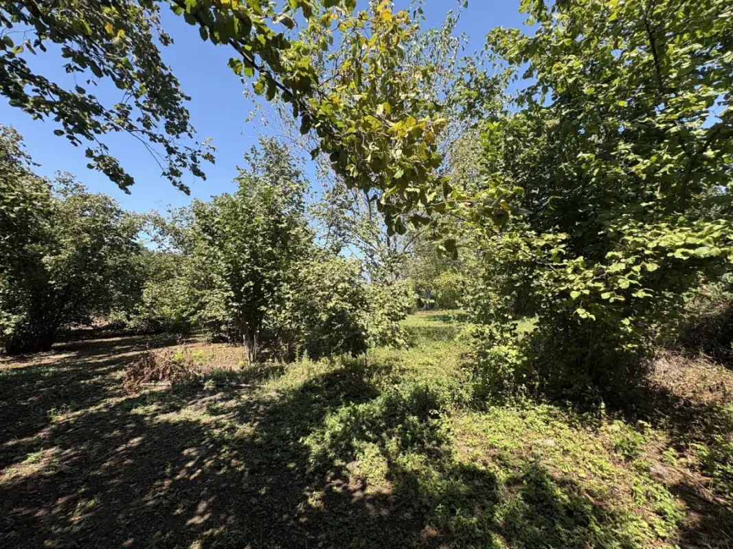 Satılır torpaq sahəsi 20 m²