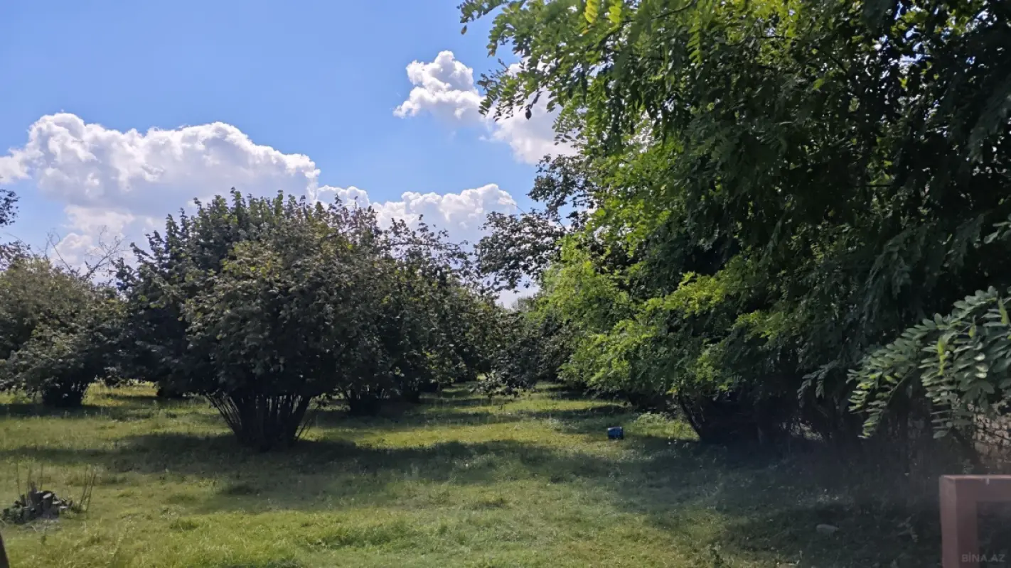 Satılır torpaq sahəsi 50 m²