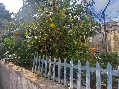 Kirayə verilir 1 otaqlı həyət evi 25 m² — Bakı, Nəsimi 1 otaq 25.00 m²