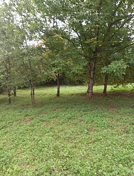 Satılır torpaq sahəsi 9 m² — Quba 9.00 m²