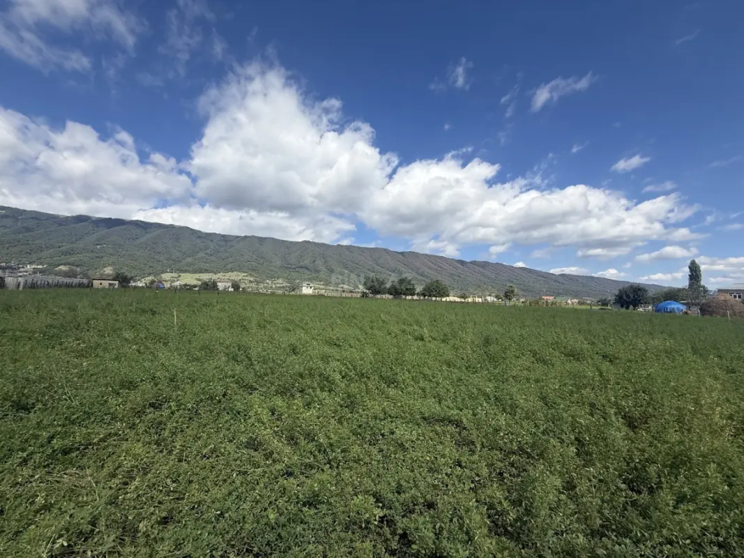 Satılır torpaq sahəsi 20 m²
