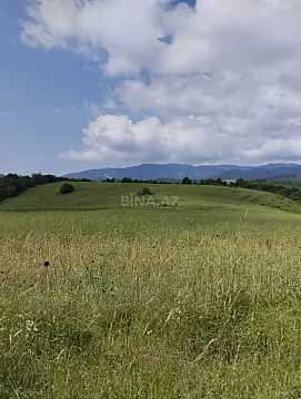 Satılır torpaq sahəsi 12 m² — Şamaxı 12.00 m²
