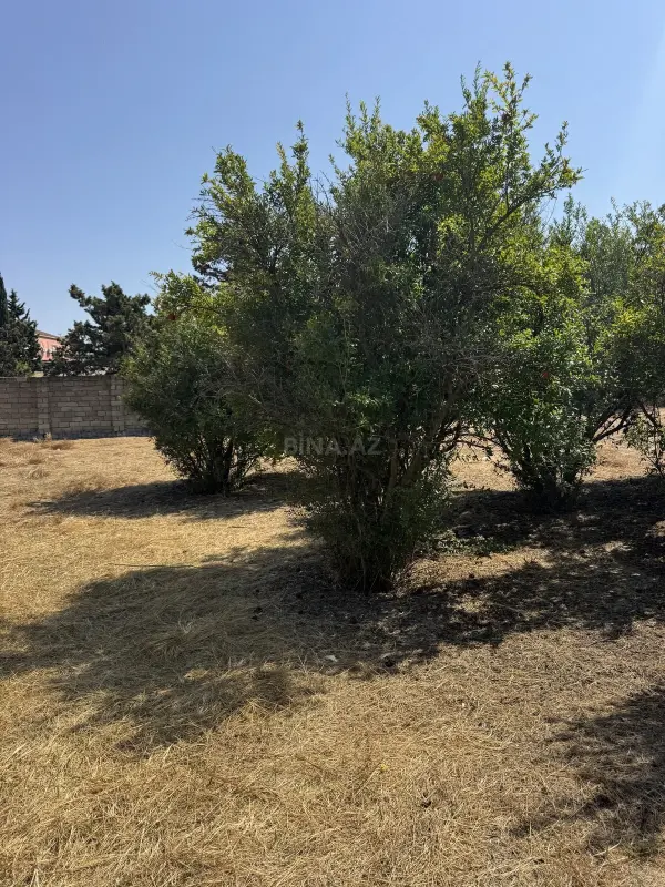 Satılır torpaq sahəsi 3 m²