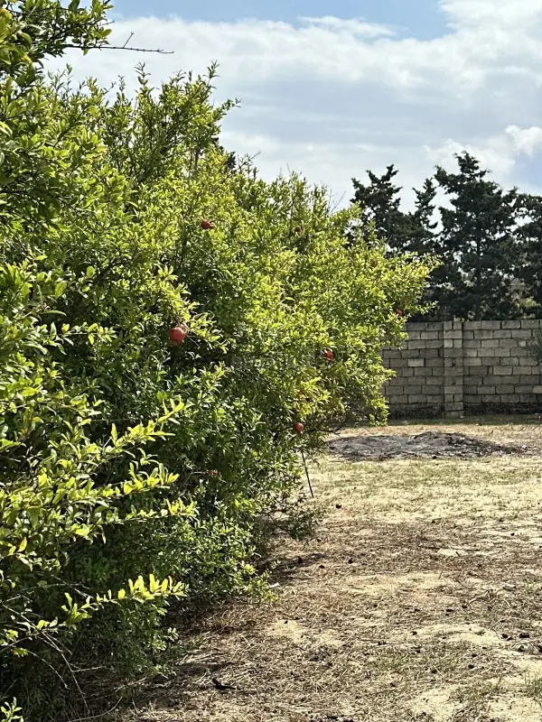 Satılır torpaq sahəsi 4 m²