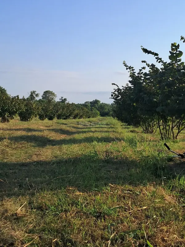 Satılır torpaq sahəsi 230 m²