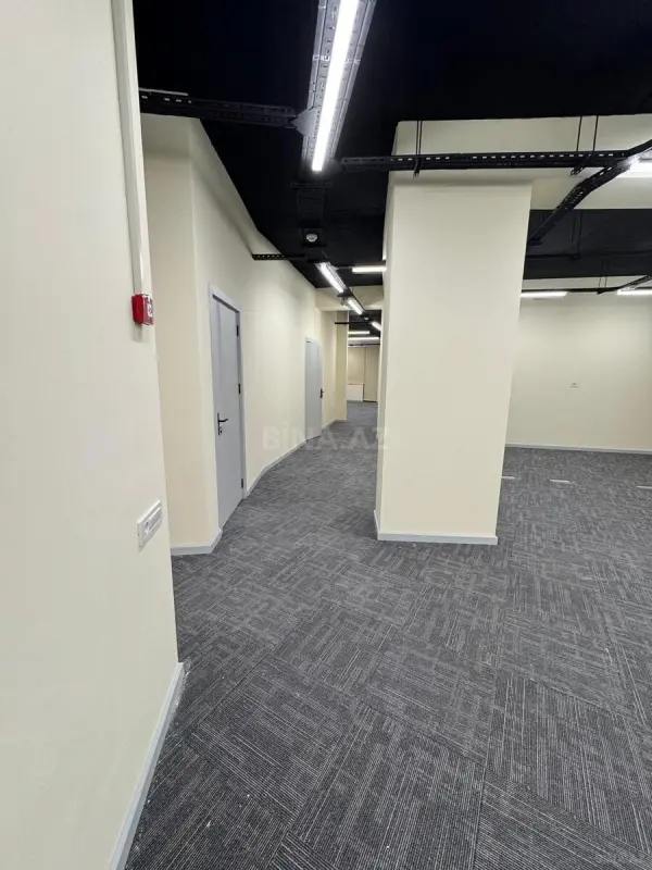 Kirayə verilir 4 otaqlı ofis 200 m²