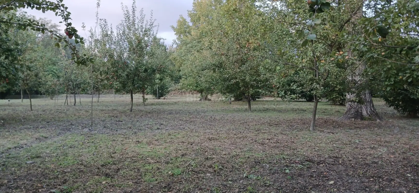 Satılır torpaq sahəsi 44 m²