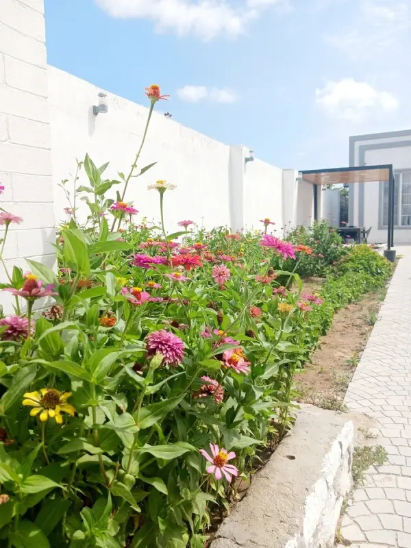 Satılır 3 otaqlı həyət evi 93 m²