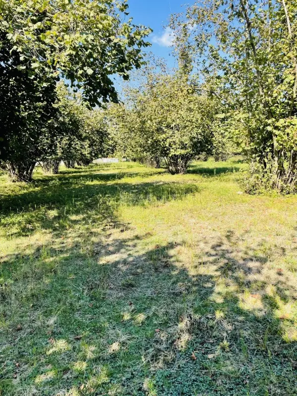 Satılır torpaq sahəsi 58 m²