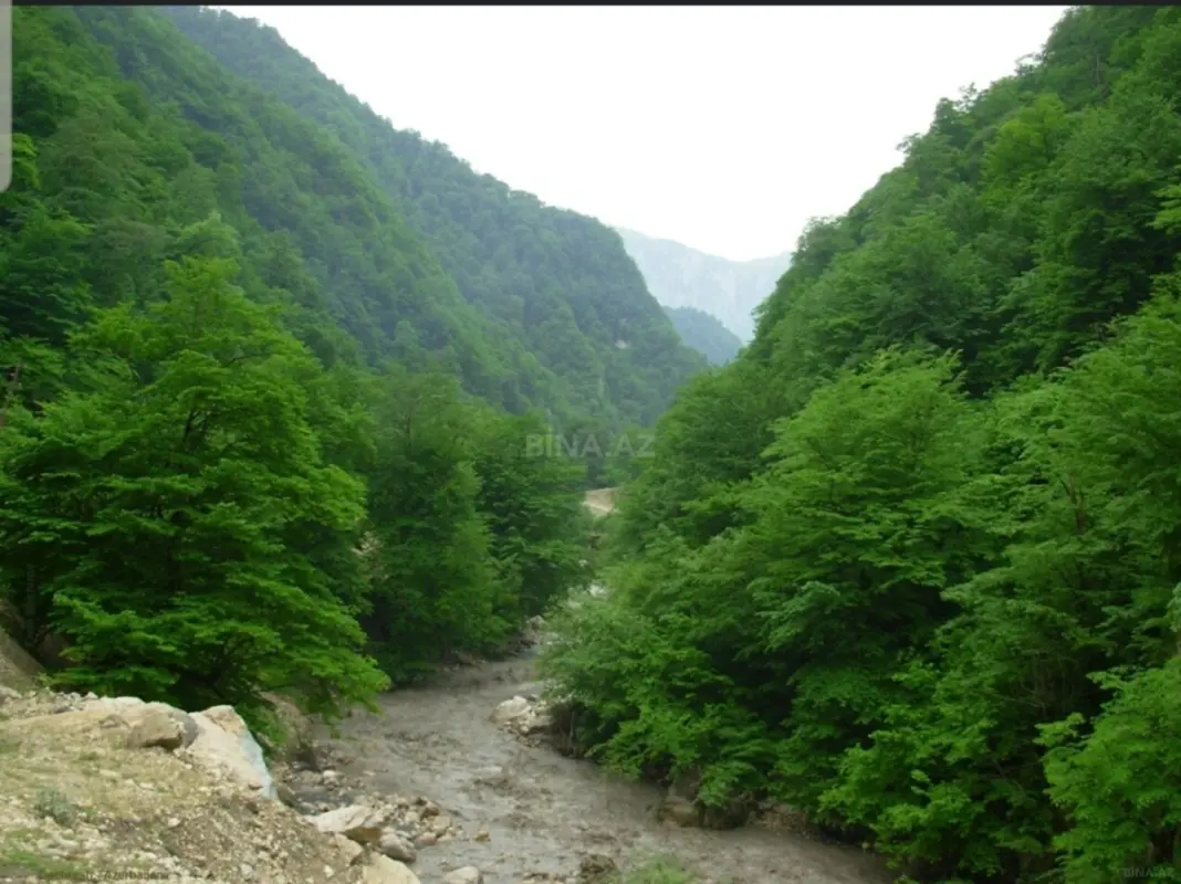 Satılır torpaq sahəsi 77 m²