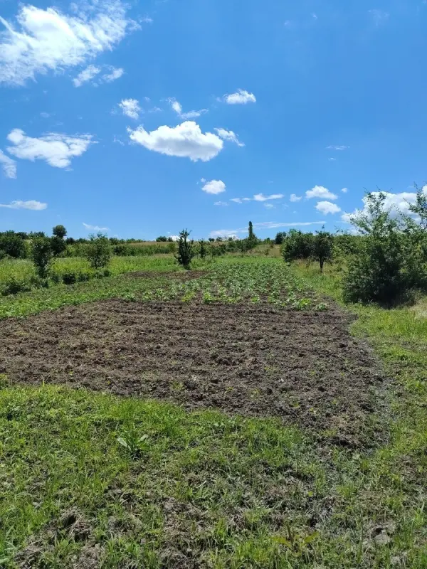 Satılır torpaq sahəsi 32 m²