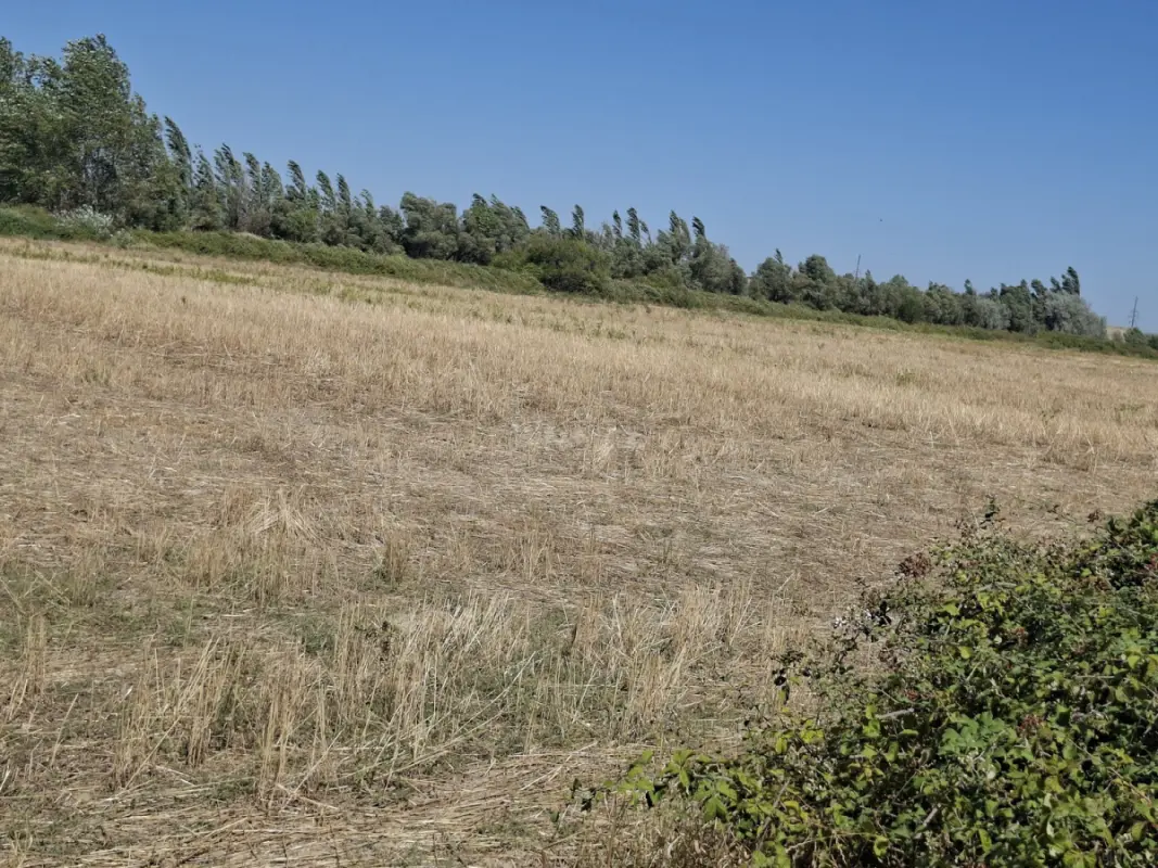 Satılır torpaq sahəsi 160 m²