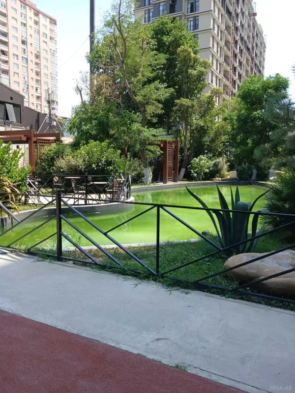 Kirayə verilir 2 otaqlı mənzil 48 m²