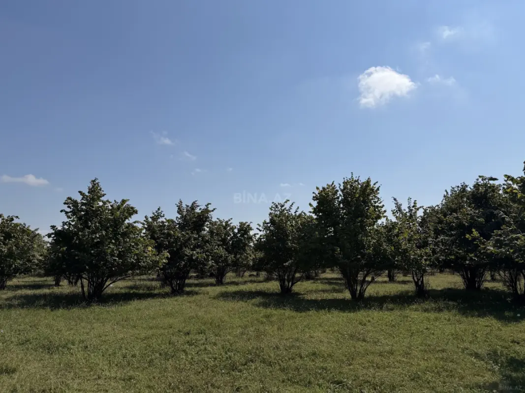 Satılır torpaq sahəsi 74 m²