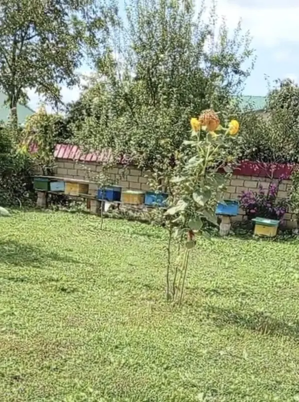 Satılır torpaq sahəsi 5 m²