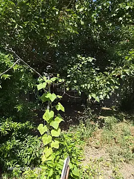 Satılır torpaq sahəsi 4.5 m² — Sumqayıt 4.50 m²