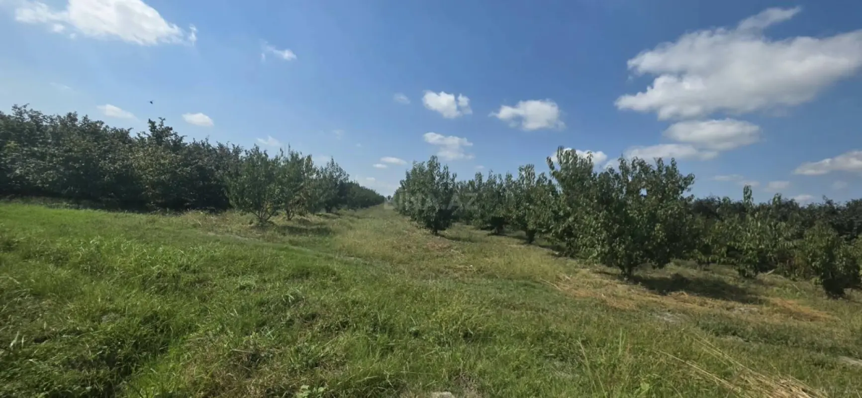Satılır torpaq sahəsi 300 m²