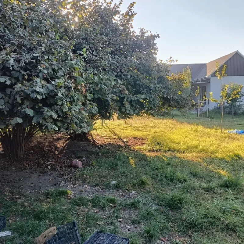 Satılır torpaq sahəsi 12 m²