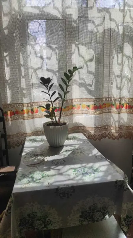 Kirayə verilir 2 otaqlı mənzil 50 m²