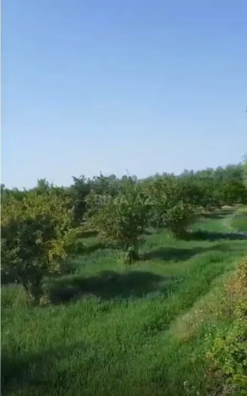 Satılır torpaq sahəsi 3562.6 m²