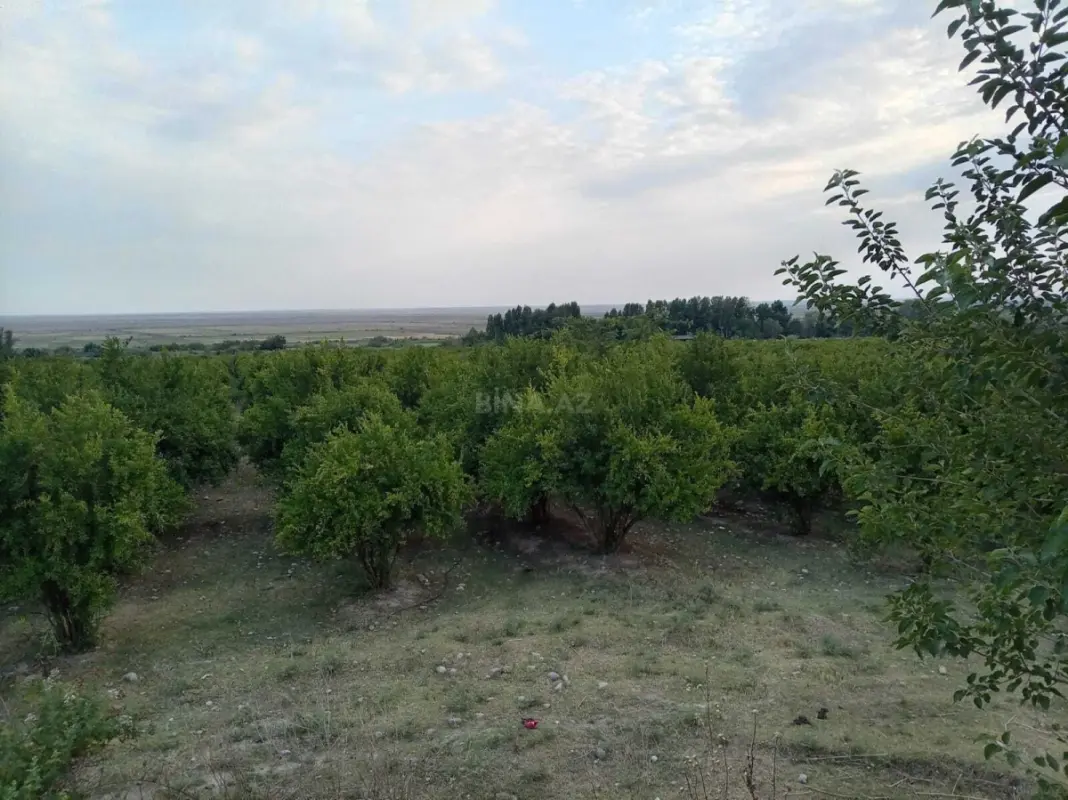 Satılır torpaq sahəsi 1761 m²