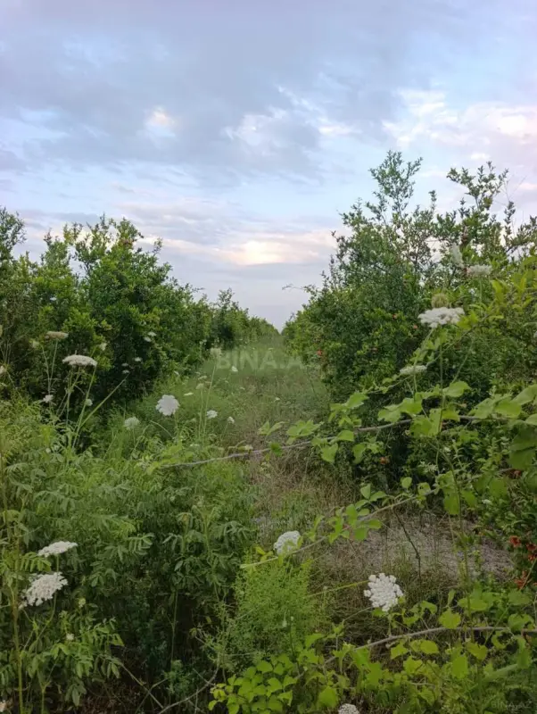 Satılır torpaq sahəsi 3500 m²