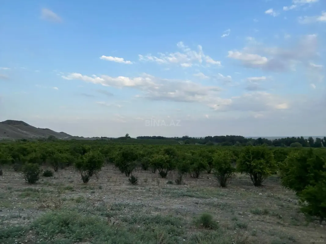 Satılır torpaq sahəsi 3286.2 m²