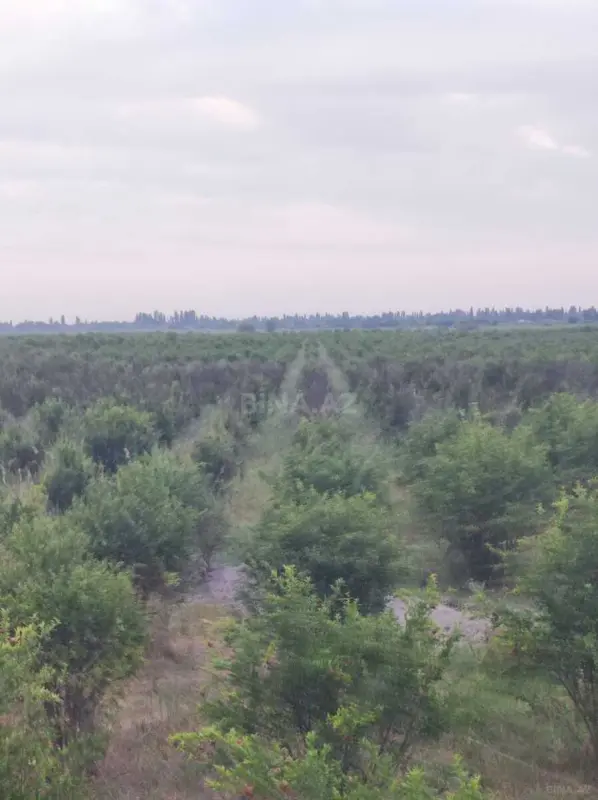 Satılır torpaq sahəsi 3845 m²
