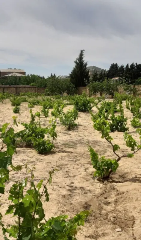 Satılır torpaq sahəsi 12 m²