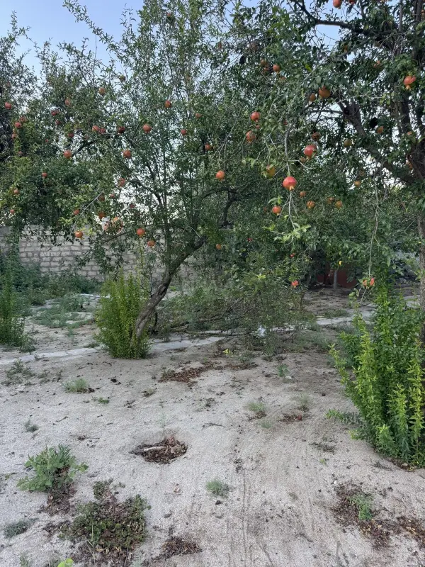 Satılır torpaq sahəsi 2 m²