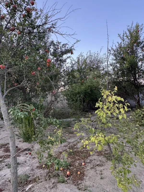 Satılır torpaq sahəsi 3 m²