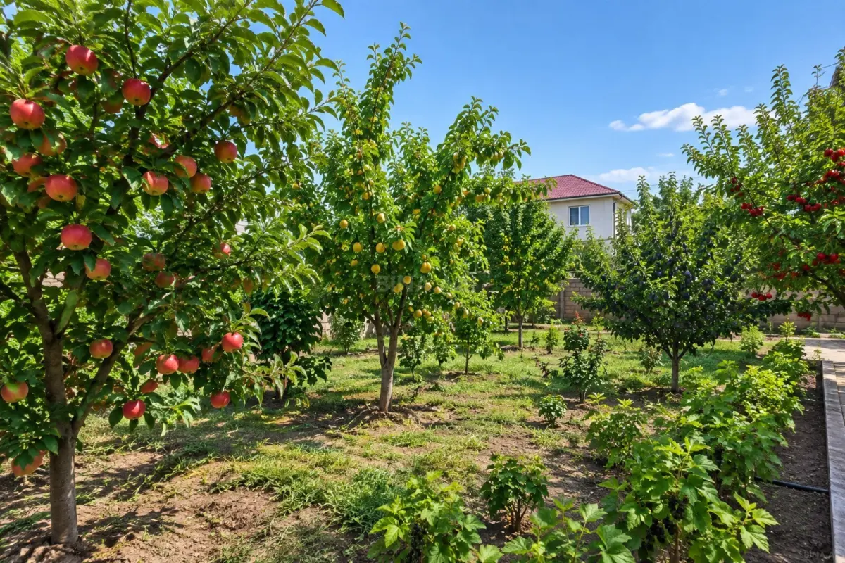 Satılır torpaq sahəsi 12.5 m²
