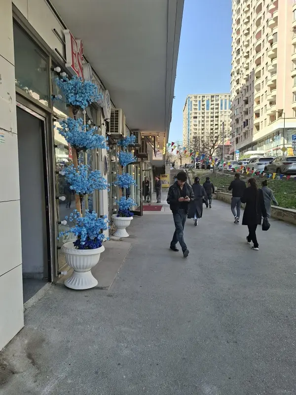 Kirayə verilir obyekt 65 m²