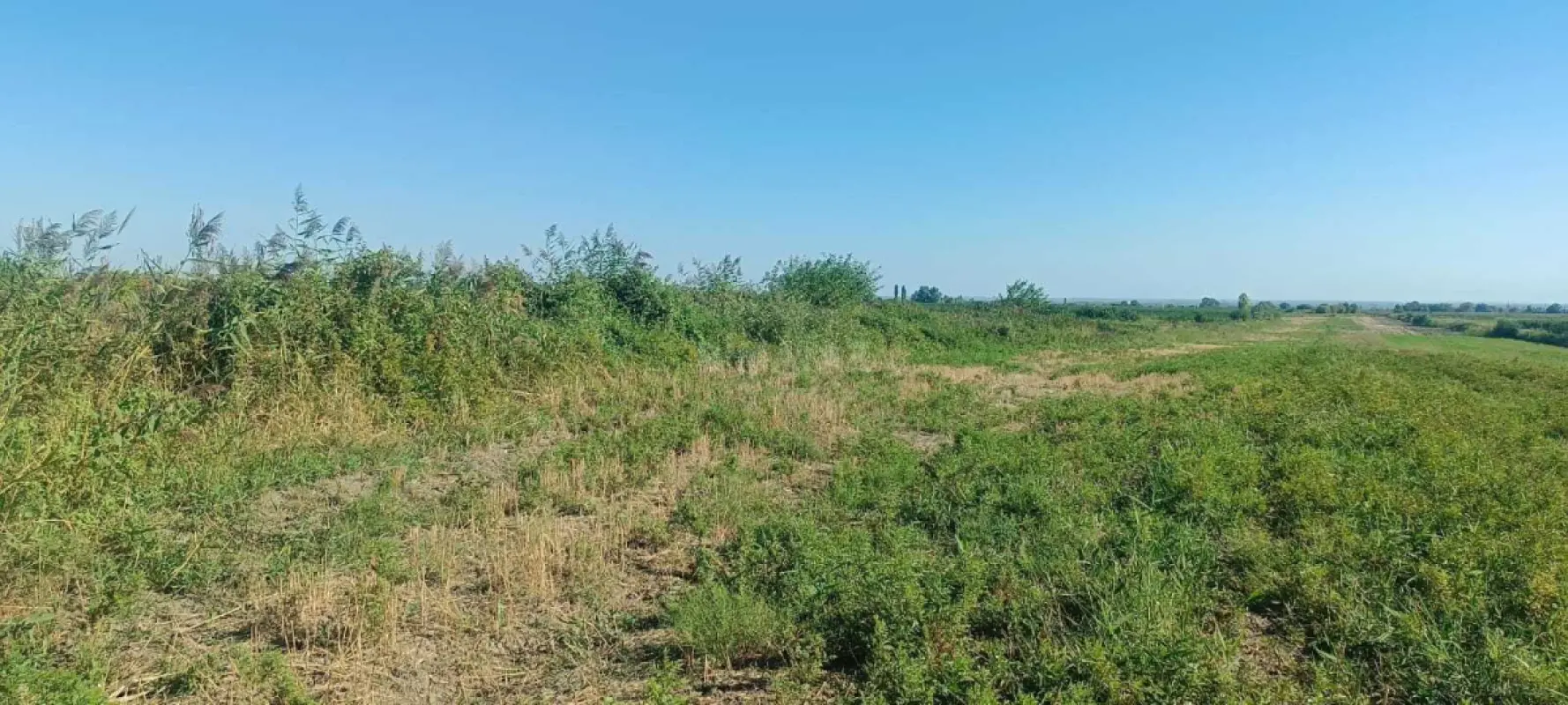 Satılır torpaq sahəsi 300 m²