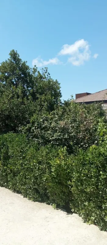 Satılır torpaq sahəsi 4 m²