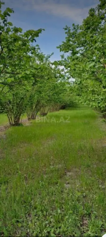 Satılır torpaq sahəsi 130 m²