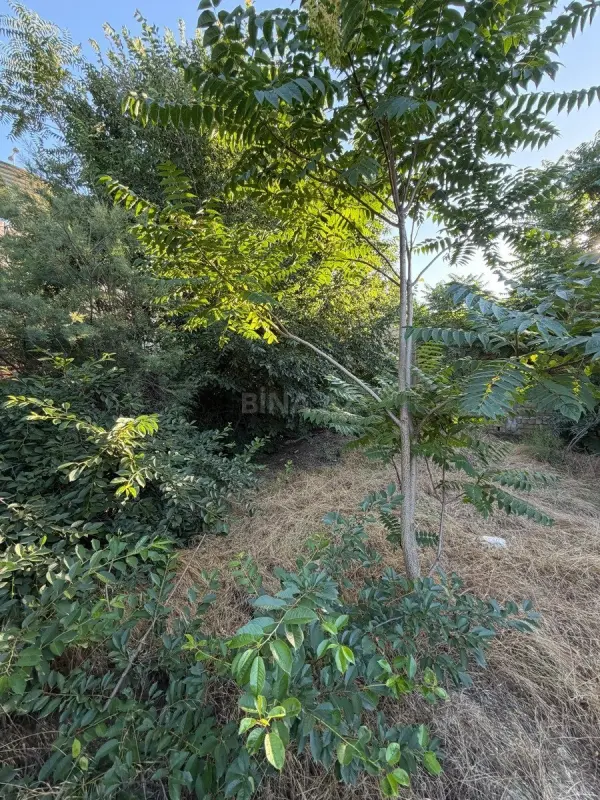 Satılır torpaq sahəsi 10 m²