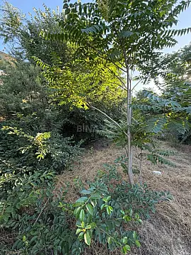 Satılır torpaq sahəsi 10 m² — Bakı, Ramana 10.00 m²