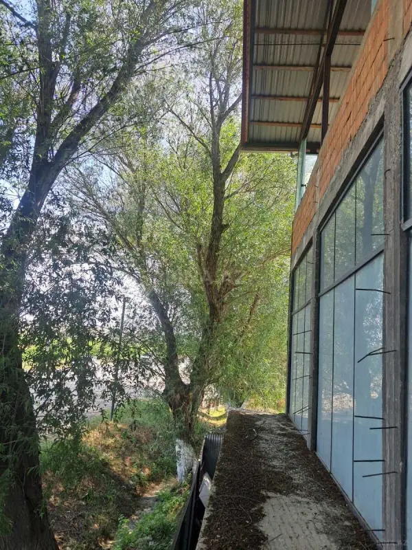 Satılır obyekt 500 m²