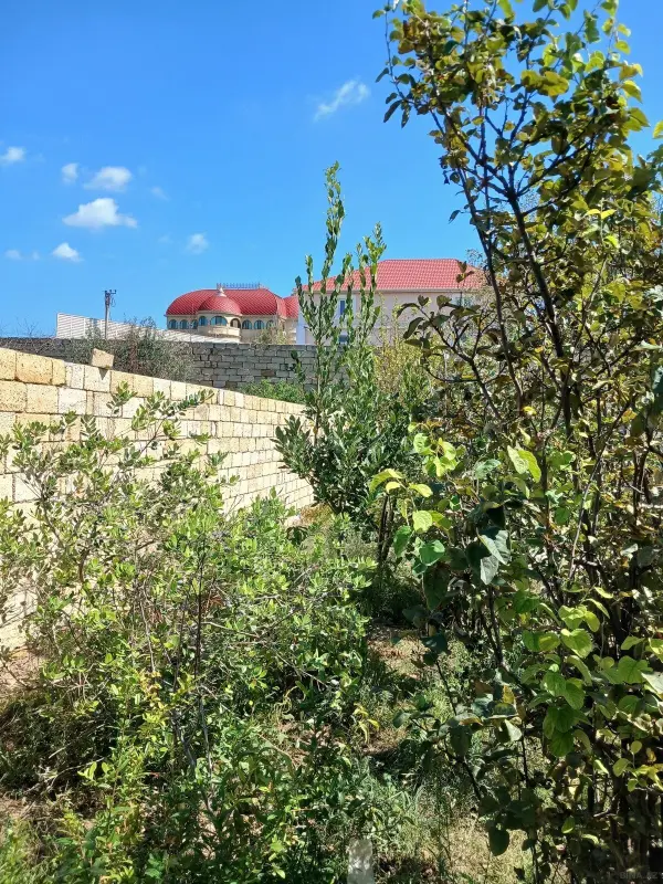 Satılır torpaq sahəsi 10 m²