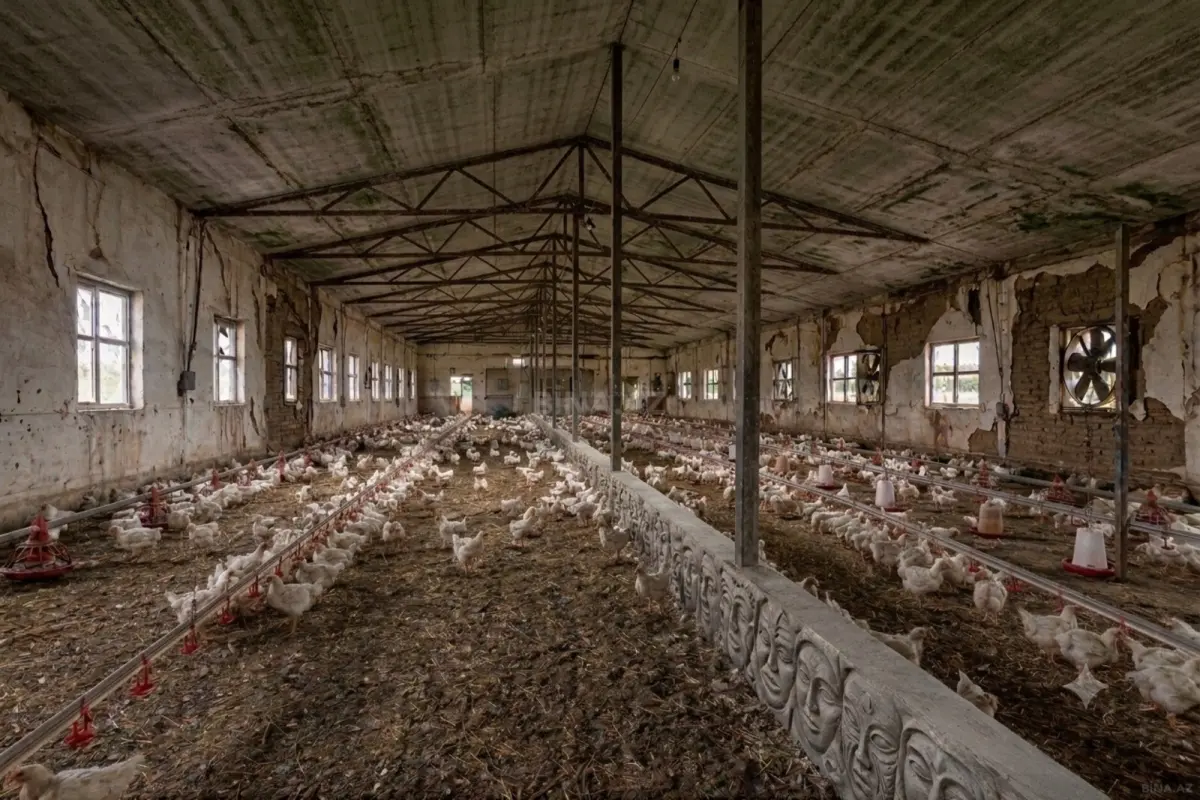 Satılır obyekt 1000 m²