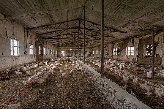 Satılır obyekt 1000 m² — Bakı, Mehdiabad 1000.00 m²