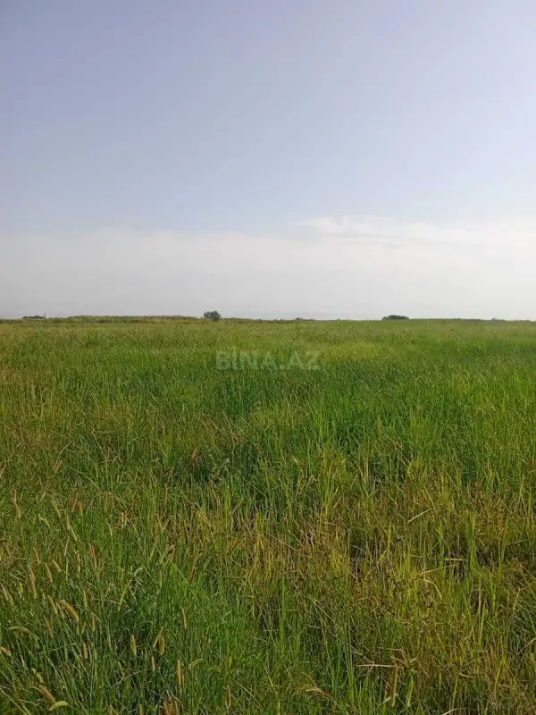 Satılır torpaq sahəsi 4200 m²
