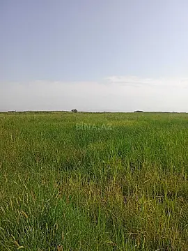 Satılır torpaq sahəsi 4200 m² — Ağdaş 4200.00 m²