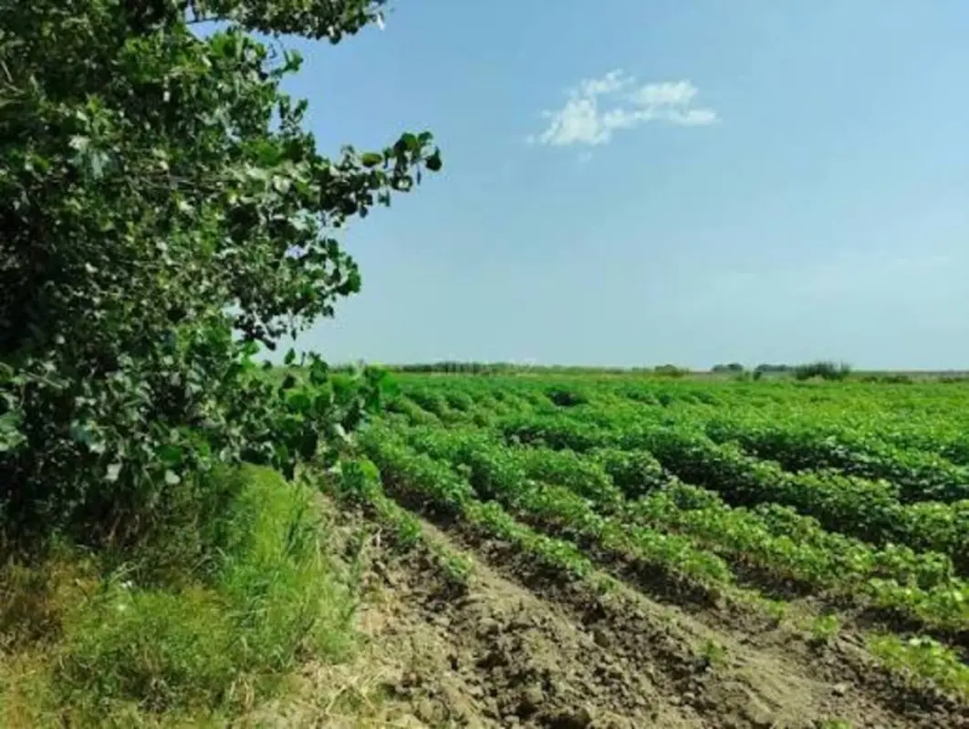 Satılır torpaq sahəsi 400 m²