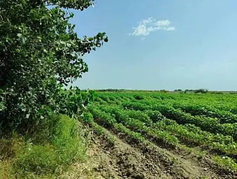 Satılır torpaq sahəsi 400 m² — Salyan 400.00 m²