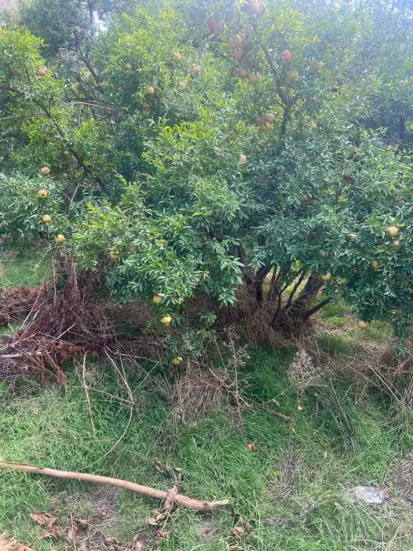 Satılır torpaq sahəsi 7 m²