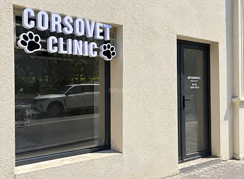 Kirayə verilir obyekt 100 m² — Bakı, Nərimanov 100.00 m²